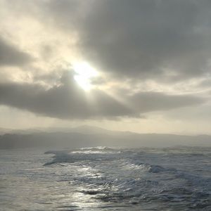 Meet your Posher, Primsilverrose